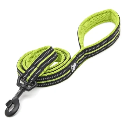Afbeelding van Truelove Hondenriem S 110 CM Neon Geel