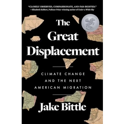Afbeelding van The Great Displacement
