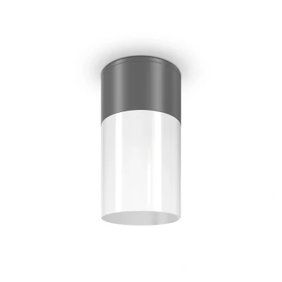 Afbeelding van Maytoni Outdoor Plafondlamp Willis Grafiet Ø8