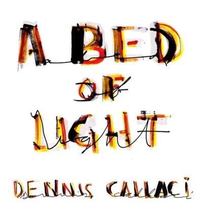 Afbeelding van A Bed of Light