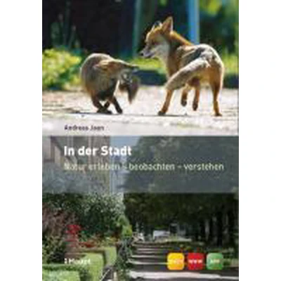 Afbeelding van In der Stadt