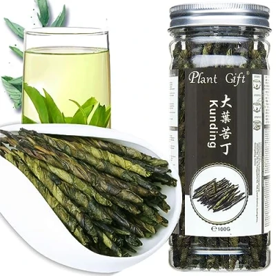 Image de Plant Gift Kuding Plus Tea 苦丁茶 Herbal Organic Needle Ku ding Cha skin care chinses china, natural health Clearing Heat Ilex Kudingcha 100g/3.5oz
