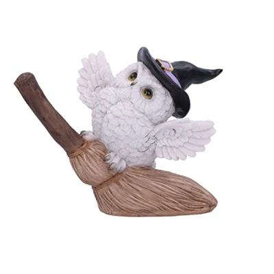 Afbeelding van Nemesis Now Snowy Flight 13.5cm Beeld/figuur Multicolours