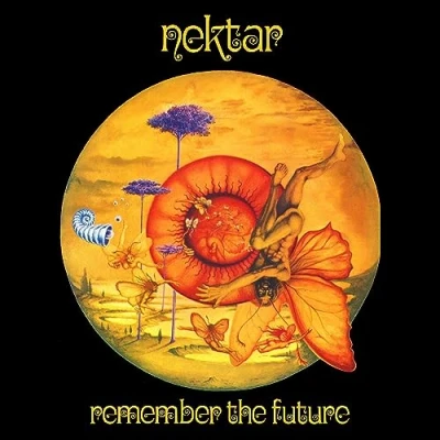 Afbeelding van Remember the Future