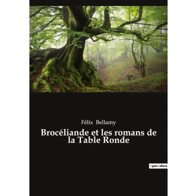 Image de Brocéliande et les romans de la Table Ronde