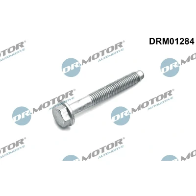 Afbeelding van Schroef, inspuitstukhouder Dr.Motor Automotive DRM01284