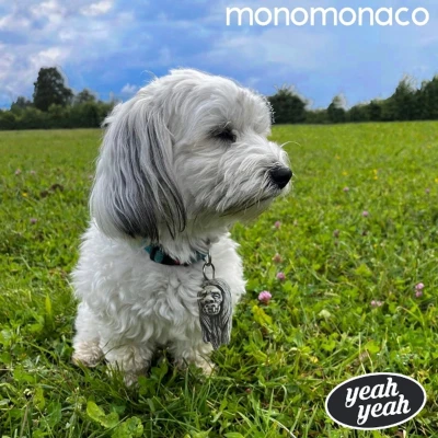 Afbeelding van Monomonaco Yeah (LP)