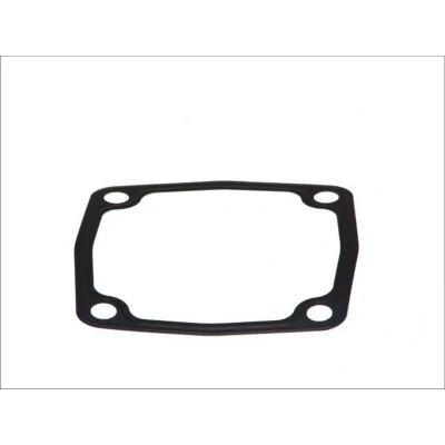 Afbeelding van Dt Spare Parts Olie aftapplug dichting 4.20331
