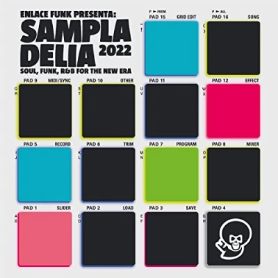 Afbeelding van Various Artists Sampladelia 2022 (LP)