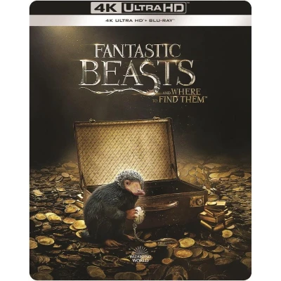 Afbeelding van Fantastic Beasts And Where To Find Them (4K Ultra HD Blu ray) (Steelbook)