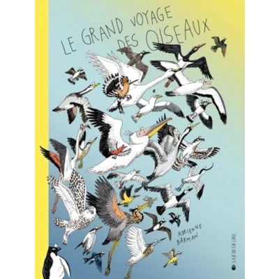 Afbeelding van LE GRAND VOYAGE DES OISEAUX