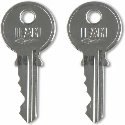 Afbeelding van Sleutelslot IFAM INOX 40AL Roestvrij staal Lengte (40 mm)