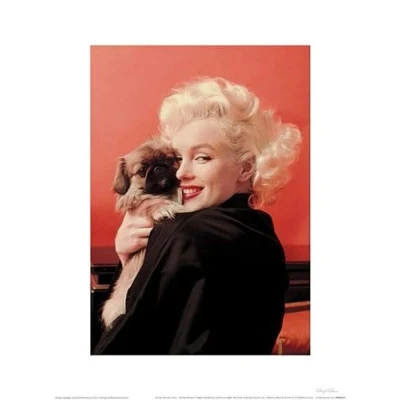 Afbeelding van Pyramid Marilyn Monroe Love Kunstdruk 30x40cm