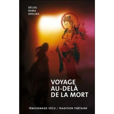 Image de Voyage au delà de la mort