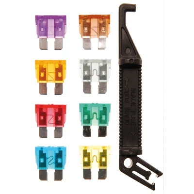 Afbeelding van BGS Assortiment autozekeringen 97 delig