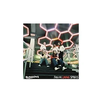 Image de Foolish Loving Spaces