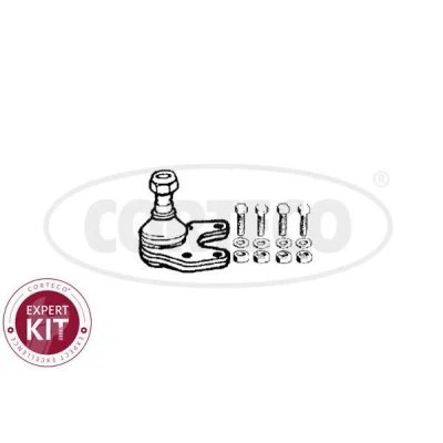 Afbeelding van CORTECO 49395748 Fuseekogel Vooras rechts, links, Onder RENAULT: ESPACE 2