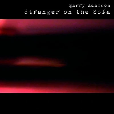 Afbeelding van Barry Adamson Stranger On the Sofa (2 LPs)