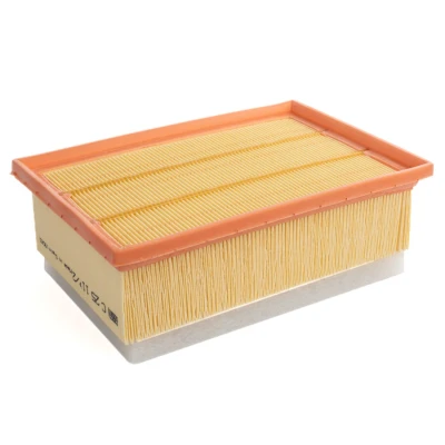 Image de Filtre à air mann filter c25117/2