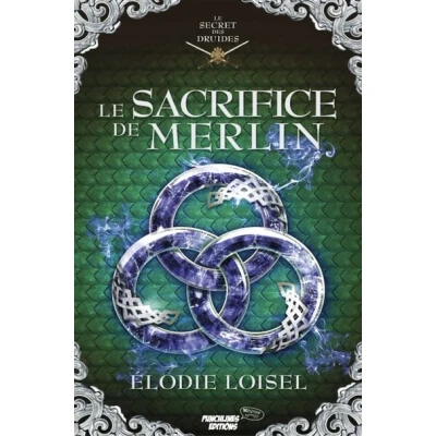 Image de Le secret des Druides, tome 4