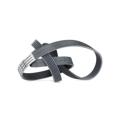 Afbeelding van Contitech Poly V riem 6PK1560