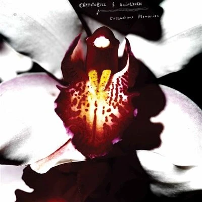 Afbeelding van David Lynch &amp; Chrystabell Cellophane Memories (CD)