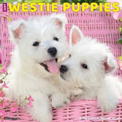 Afbeelding van Just Westie Puppies 2025 12 X Wall Calendar