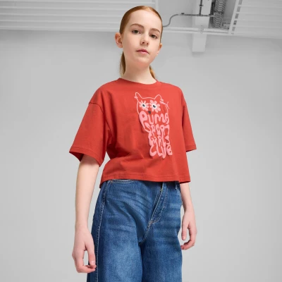 Afbeelding van Puma Graphics Kurzes Tshirt print voor kinderen, Maat: 164, Red fire