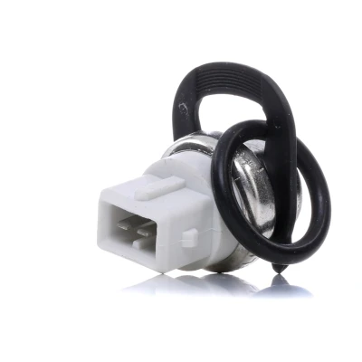 Afbeelding van Hella Temperatuursensor 6PT 009 107 601
