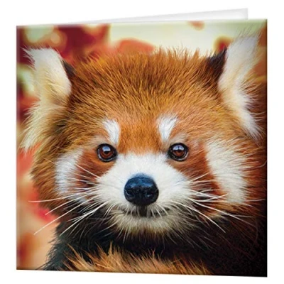 Afbeelding van 3D LiveLife Wenskaart Baby panda Roux van Deluxebase. Lenticulaire kaart kleurrijke rode voor elke gelegenheid en leeftijd, verjaardag. origineel gelicentieerd door kunstenaar, David