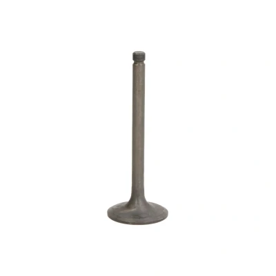 Afbeelding van FRECCIA R6333/SNT Inlaatklep 39,4 Klepsteel met nitraat verzien
