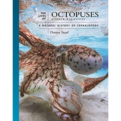 Afbeelding van The Lives of Natural World Octopuses and Their Relatives