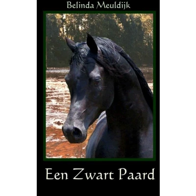 Afbeelding van Een zwart paard