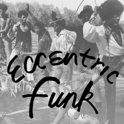 Afbeelding van Various Artists Eccentric Funk (LP)
