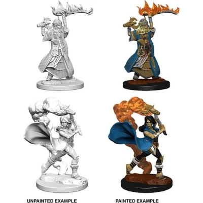 Afbeelding van Pathfinder Battles Deep Cuts: Human Female Cleric