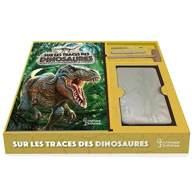 Image de Sur les traces des dinosaures
