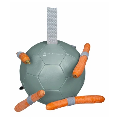 Afbeelding van Waldhausen Wortel bal 18 Mint
