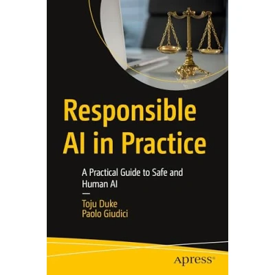 Afbeelding van Responsible AI in Practice
