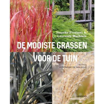 Afbeelding van de mooiste grassen voor tuin