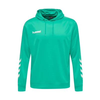 Afbeelding van Hummel Promo Poly Hoodie Sporttruien groen Unisex