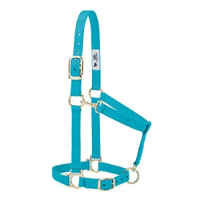 Afbeelding van Weaver Leather Basic halster van nylon, verstelbaar, turquoise, klein paard 2,5 cm