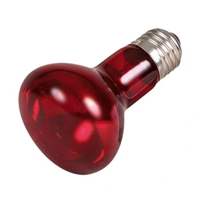 Afbeelding van Trixie Reptiland Infrarood Warmtelamp 6,3X6,3X10 CM 35 WATT 3 ST