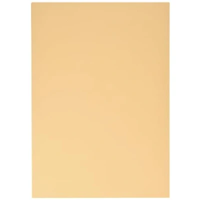 Afbeelding van Clairefontaine 97464C Premium fotokarton DIN A4 21 x 29,7 cm 300g abrikoos 25 vellen