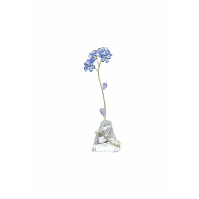 Afbeelding van Swarovski Vergeet Me Niet 5666971