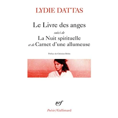 Afbeelding van Le livre des anges: Suivi de La nuit spirituelle et Carnet d’une allumeuse