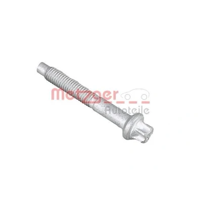Afbeelding van METZGER 0871022S Schroef, inspuitstukhouder CITROËN: C4 II Hatchback, Grand Picasso 2, Berlingo / First I, VOLVO: V50