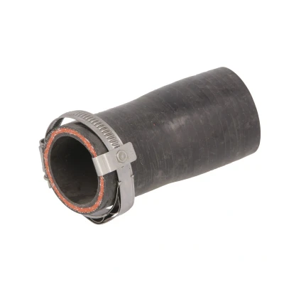 Afbeelding van THERMOTEC DCI031TT Laadluchtslang LAND ROVER: Range Rover Sport
