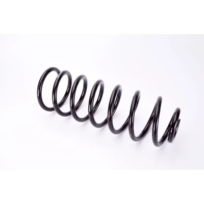 Afbeelding van Magnum Technology SW050MT Chassisveer Achteras Schroefveer VOLKSWAGEN: GOLF 3, Vento