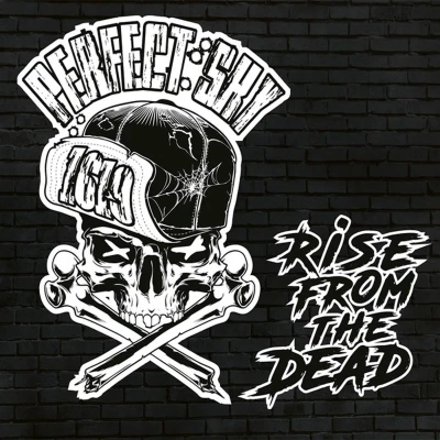 Afbeelding van Perfect Sky Rise From the Dead (LP)