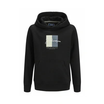 Afbeelding van JACK&amp;JONES JORFREDERIKSBERG BOX SCI SW.H SN UNB JNR Jongens Sweaters